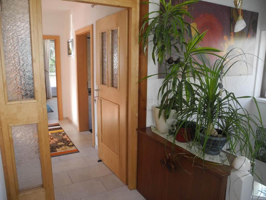 Haus Herzog Matrei in Osttirol Exterior photo